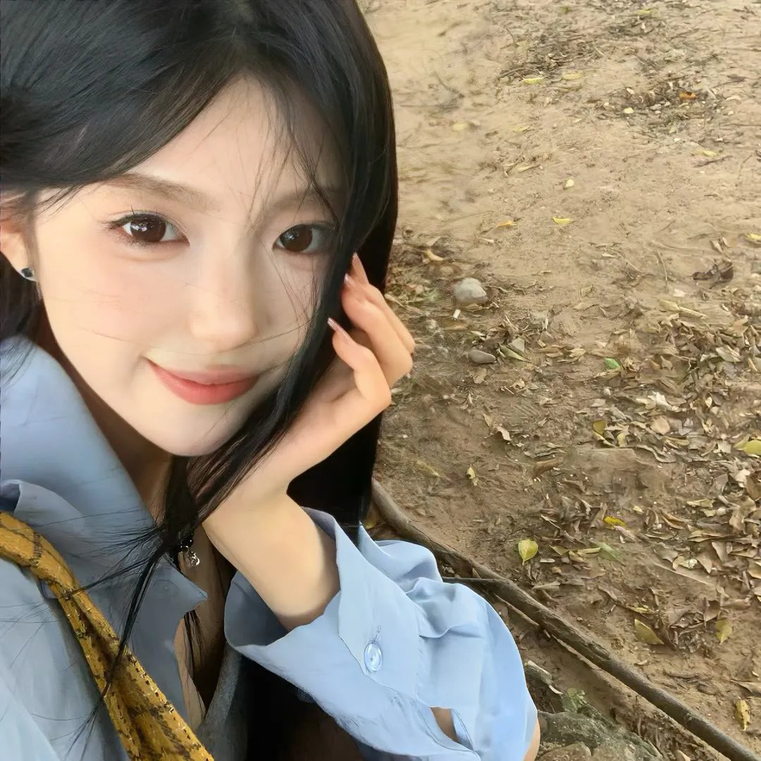 公猫